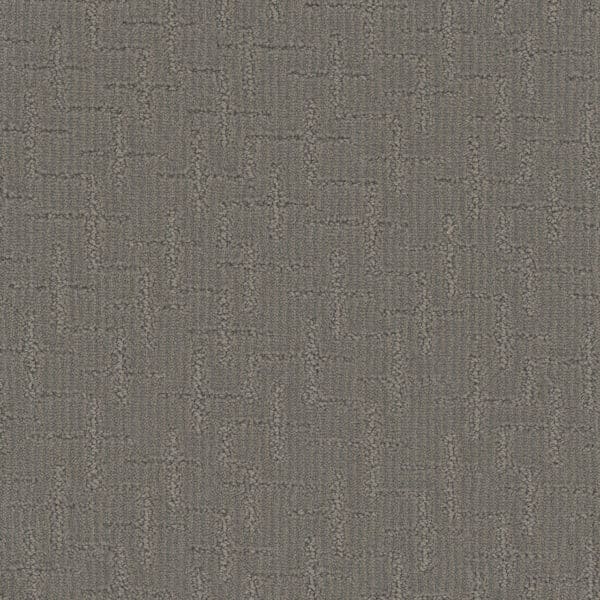 Dreamweaver Carpet Organic Elements Castleberry Carpet 6335_2332