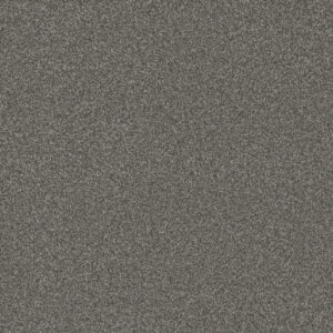 Dreamweaver Carpet Blazer I Mill Stone Carpet 6340_1970