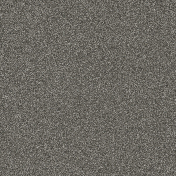 Dreamweaver Carpet Blazer I Mill Stone Carpet 6340_1970