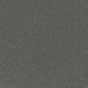 Dreamweaver Carpet Blazer I Tulsa Twilight Carpet 6340_2221