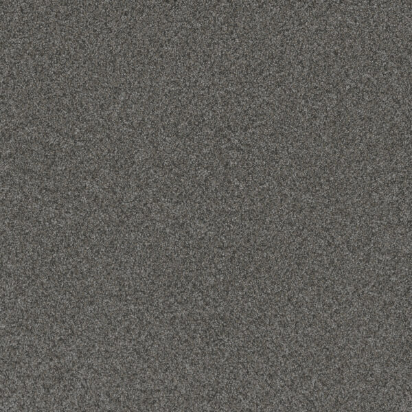 Dreamweaver Carpet Blazer I Tulsa Twilight Carpet 6340_2221