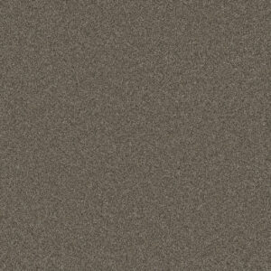 Dreamweaver Carpet Blazer I Casa Marina Carpet 6340_4032