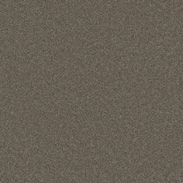 Dreamweaver Carpet Blazer I Casa Marina Carpet 6340_4032