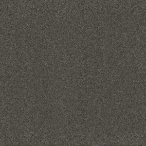 Dreamweaver Carpet Blazer I Smoky Quartz Carpet 6340_4180