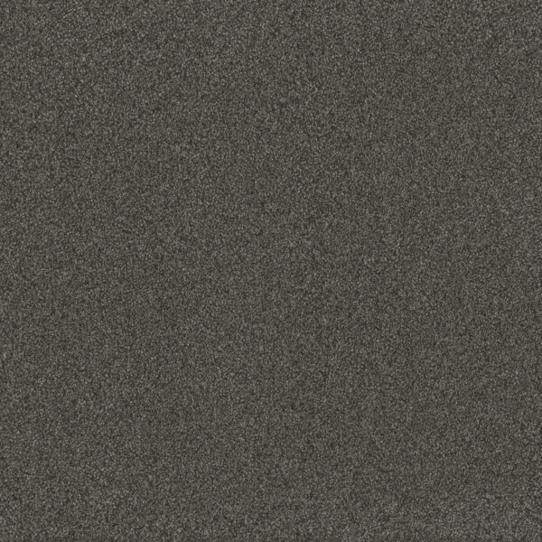 Dreamweaver Carpet Blazer I Smoky Quartz Carpet 6340_4180