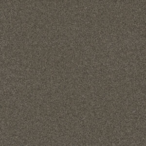 Dreamweaver Carpet Blazer I French Roast Carpet 6340_5133