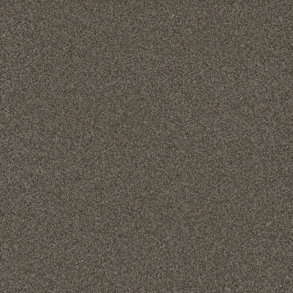 Dreamweaver Carpet Blazer I French Roast Carpet 6340_5133