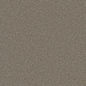 Dreamweaver Carpet Blazer I Umber Carpet 6340_6004