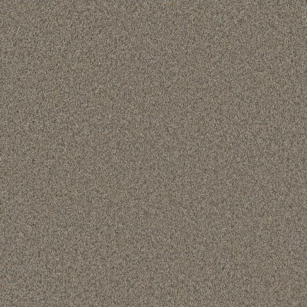 Dreamweaver Carpet Blazer I Umber Carpet 6340_6004