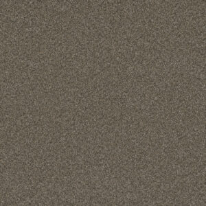 Dreamweaver Carpet Blazer I Fawn Carpet 6340_6005