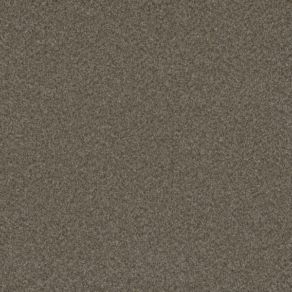 Dreamweaver Carpet Blazer I Fawn Carpet 6340_6005