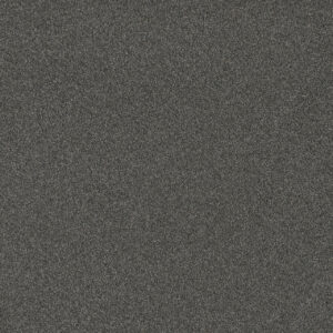 Dreamweaver Carpet Blazer I Nitro Carpet 6340_6020
