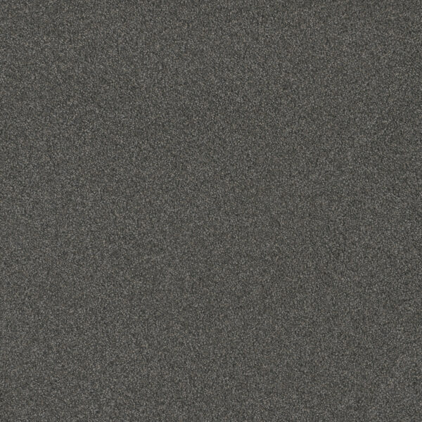 Dreamweaver Carpet Blazer III Nitro Carpet 6375_6020