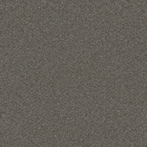 Dreamweaver Carpet Blazer I Meadow Dance Carpet 6340_6049