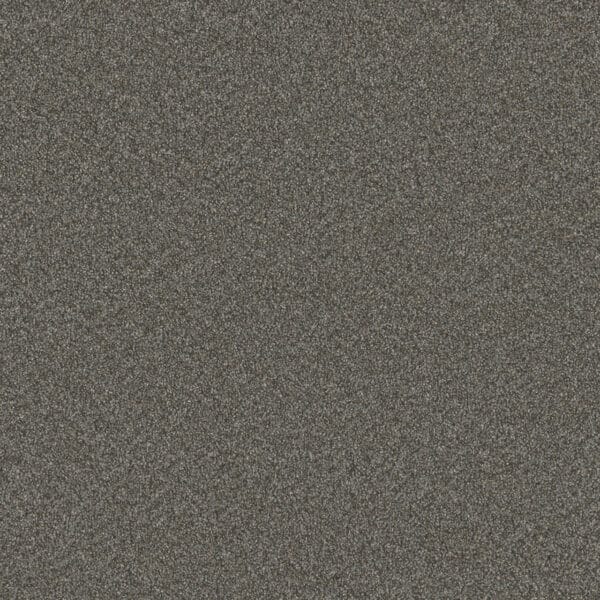 Dreamweaver Carpet Blazer I Meadow Dance Carpet 6340_6049