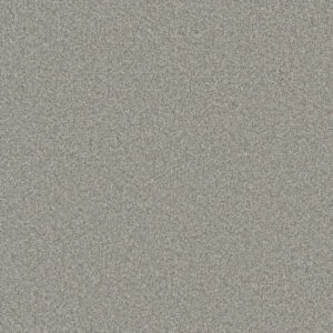 Dreamweaver Carpet Blazer I Polar Cap Carpet 6340_6057