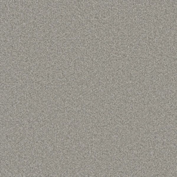 Dreamweaver Carpet Blazer I Polar Cap Carpet 6340_6057