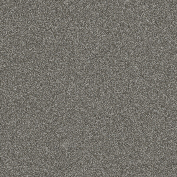 Dreamweaver Carpet Blazer I Jadestone Carpet 6340_6068