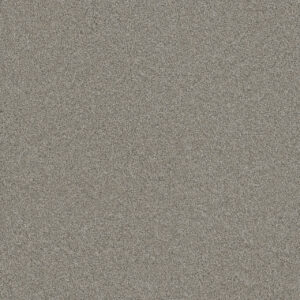 Dreamweaver Carpet Blazer I Antique Fresco Carpet 6340_6076