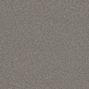 Dreamweaver Carpet Blazer I Dogwood Carpet 6340_6077