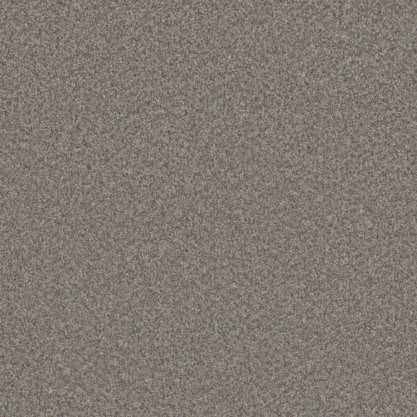 Dreamweaver Carpet Blazer II Dogwood Carpet 6360_6077