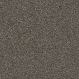 Dreamweaver Carpet Blazer I Rugby Carpet 6340_6112