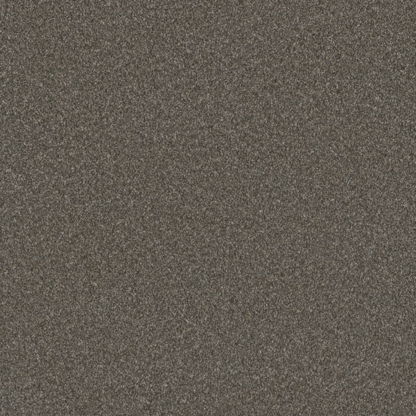 Dreamweaver Carpet Blazer I Rugby Carpet 6340_6112