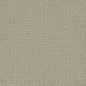 Dreamweaver Carpet Picture Perfect Warm Glow Carpet 6435_2010