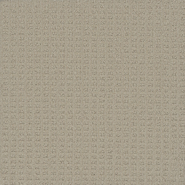 Dreamweaver Carpet Picture Perfect Warm Glow Carpet 6435_2010