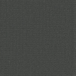 Dreamweaver Carpet Picture Perfect Nightvale Carpet 6435_2060