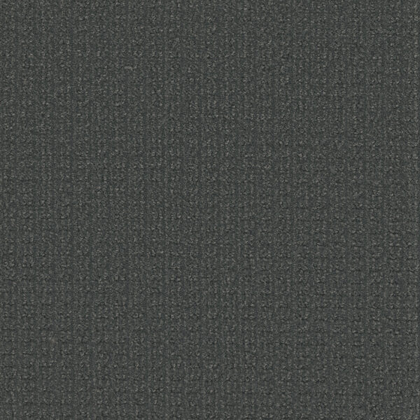 Dreamweaver Carpet Picture Perfect Nightvale Carpet 6435_2060