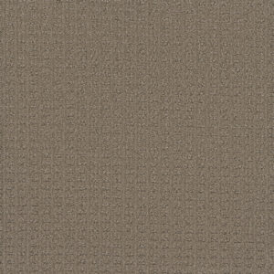 Dreamweaver Carpet Picture Perfect Western Clay Carpet 6435_2088