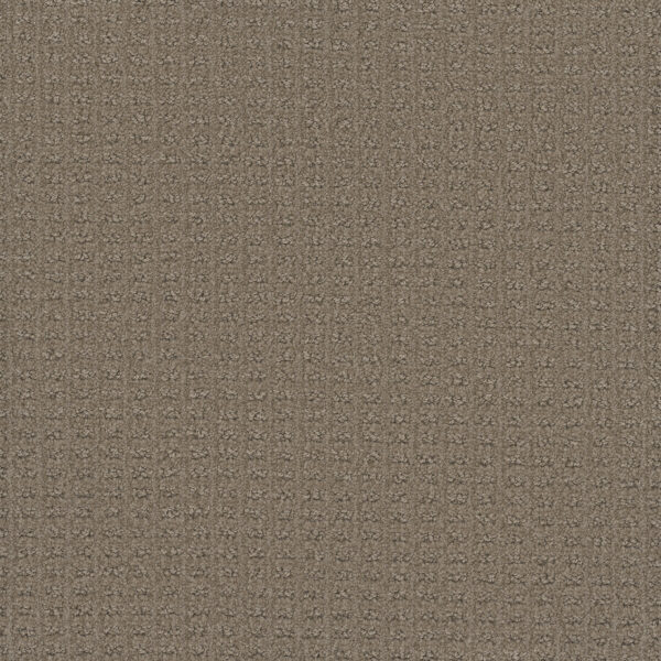Dreamweaver Carpet Picture Perfect Western Clay Carpet 6435_2088