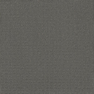 Dreamweaver Carpet Picture Perfect Ocean Point Carpet 6435_2113