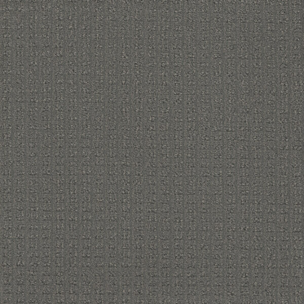 Dreamweaver Carpet Picture Perfect Ocean Point Carpet 6435_2113