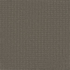 Dreamweaver Carpet Picture Perfect Thistlewood Carpet 6435_2200