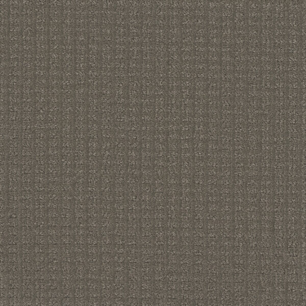 Dreamweaver Carpet Picture Perfect Thistlewood Carpet 6435_2200