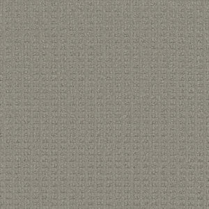 Dreamweaver Carpet Picture Perfect Crystal Peak Carpet 6435_2272