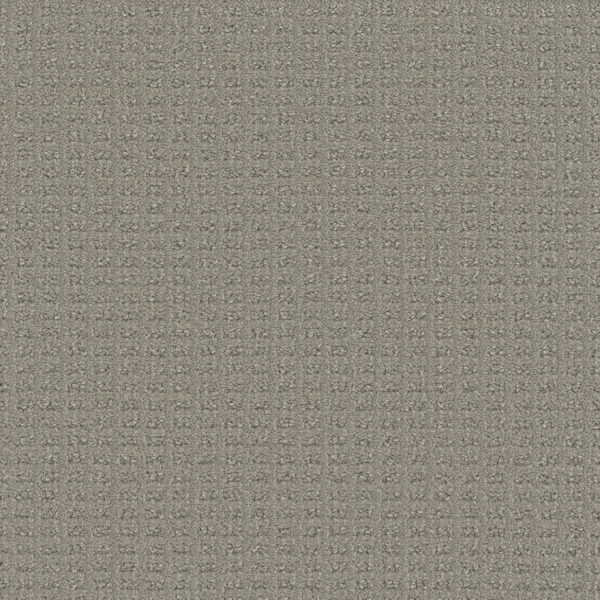 Dreamweaver Carpet Picture Perfect Crystal Peak Carpet 6435_2272