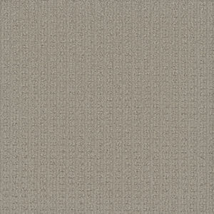Dreamweaver Carpet Picture Perfect Whisper Point Carpet 6435_2289