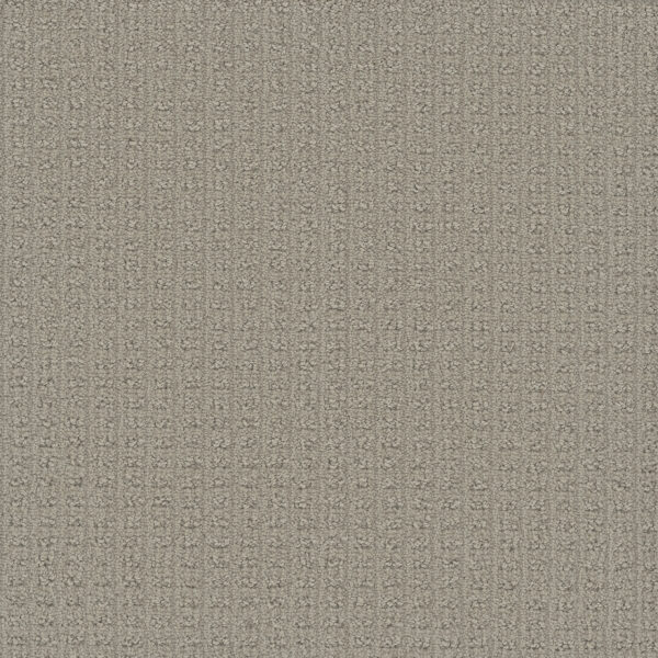 Dreamweaver Carpet Picture Perfect Whisper Point Carpet 6435_2289