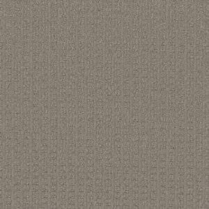 Dreamweaver Carpet Picture Perfect Fox Den Carpet 6435_2310