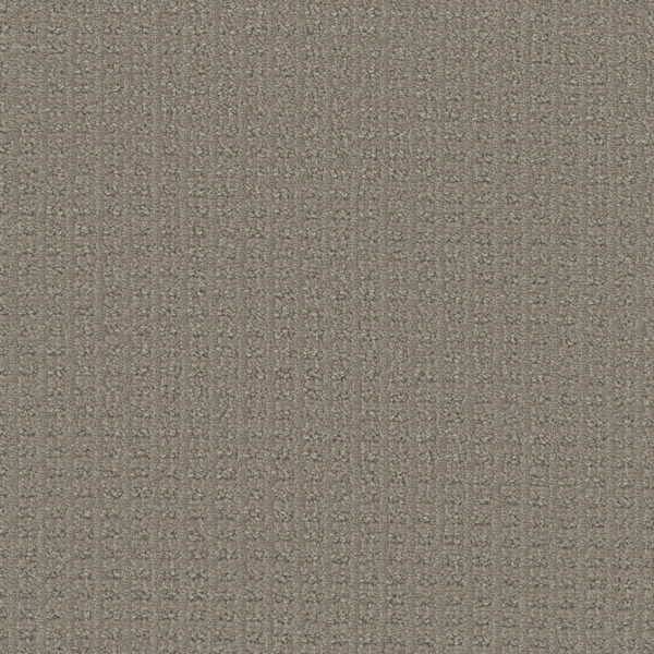 Dreamweaver Carpet Picture Perfect Fox Den Carpet 6435_2310