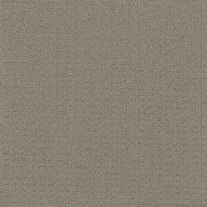 Dreamweaver Carpet Picture Perfect Sweet Woodruff Carpet 6435_2316