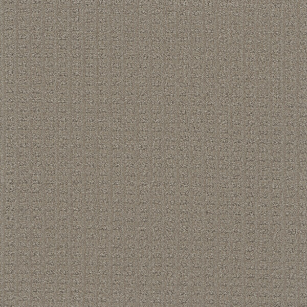 Dreamweaver Carpet Picture Perfect Sweet Woodruff Carpet 6435_2316