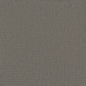 Dreamweaver Carpet Picture Perfect Castleberry Carpet 6435_2332