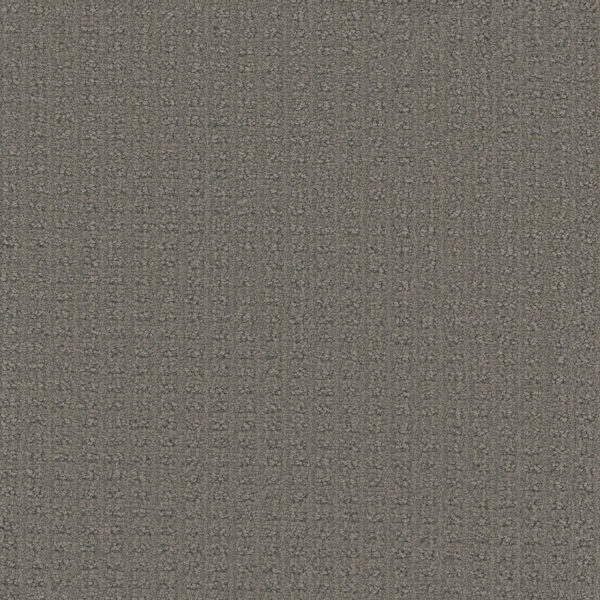 Dreamweaver Carpet Picture Perfect Castleberry Carpet 6435_2332