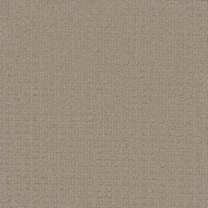 Dreamweaver Carpet Picture Perfect Golden Glade Carpet 6435_2377