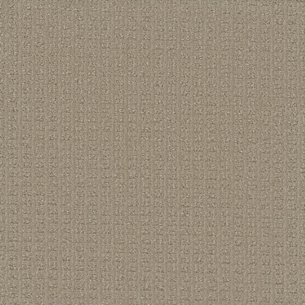 Dreamweaver Carpet Picture Perfect Golden Glade Carpet 6435_2377
