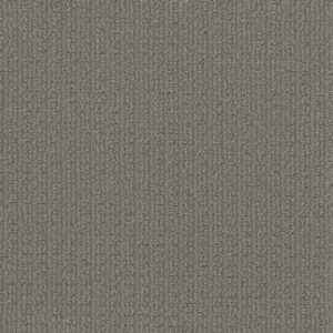 Dreamweaver Carpet Picture Perfect Blissfield Carpet 6435_2395